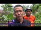 Ratusan Pohon Roboh & Puluhan Rumah Warga Rusak Akibat Angin Puting Beliung - NET5