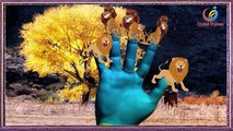 Lion finger family rhymes 3d wild animals nursery kids animated English Songs