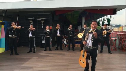 Mariachis Económicos Tlalnepantla T. 50267931