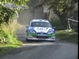 Peugeot 206 wrc