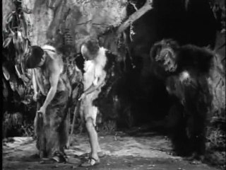 "Bangla" Moe Larry & Curly?