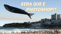 SERÁ QUE É PHOTOSHOP!? - IMAGENS QUE PARECEM PHOTOSHOP MAS NÃO SÃO