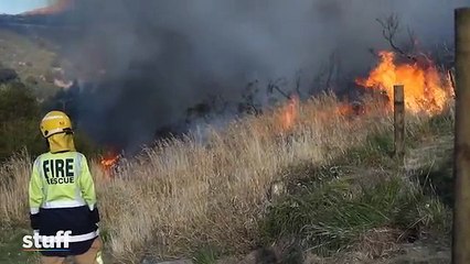 Hutan terbakar, Christchurch isytihar darurat