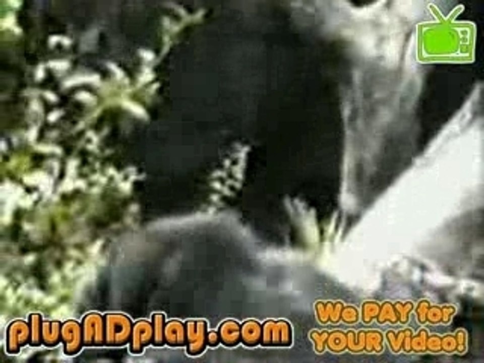 Scimmia matta da legare