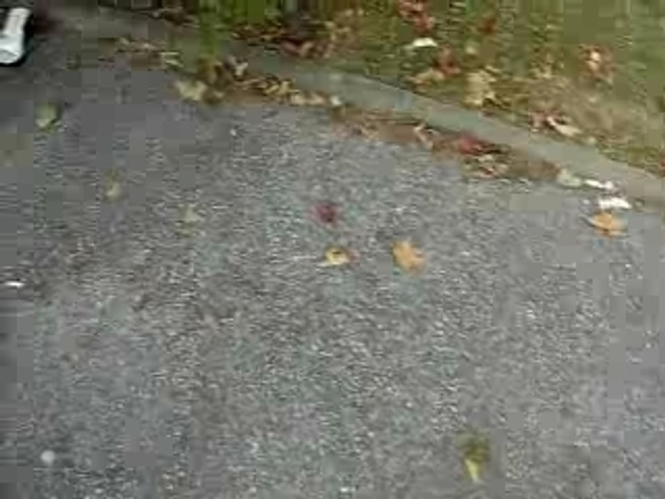 DSCN0405