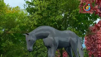 Colorful Horse Color Song For Children Rhymes | 3D Animated Kids Rhymes