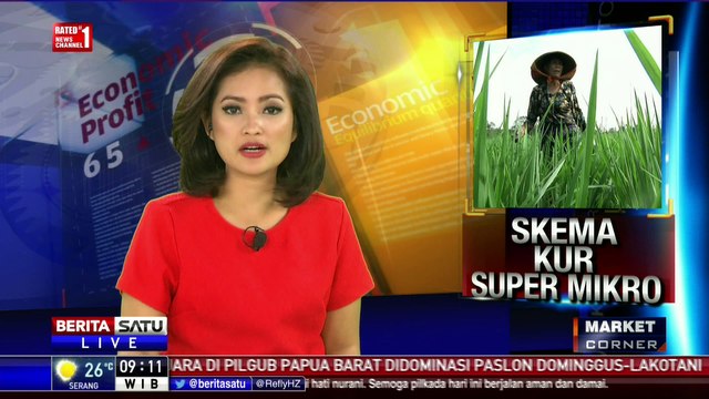 Pemerintah Rancang Skema Baru KUR Super Mikro