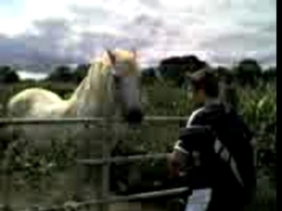 Fx avec le cheval magique .