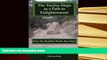 Kindle eBooks  The Twelve Steps as a Path to Enlightenment: How the Buddha Works the Steps