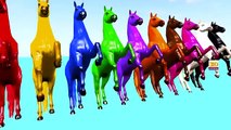 3D Horse Colours Songs Collection, Learning Colours For Children Nursery Rhymes and Songs