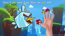 Angry Birds Finger Family Nursery Rhymes Songs | Angry Birds Learning Colors for Children