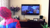 #SCREAM vs SPIDERMAN w/ IRONMAN becames TROLLER Screams by SuperHero Kids Reality TV