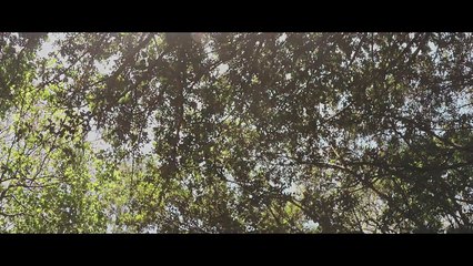 Football Equipment Suppliers - Cosco.in