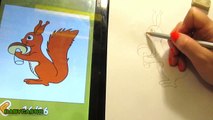 Как нарисовать белочку для детей Научится рисовать белочку  и гриб  Как быстро нарисовать по шагам