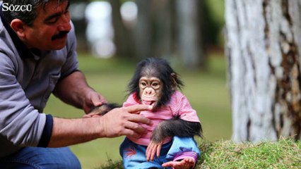 Sevginin yok olmadığını kanıtladılar!