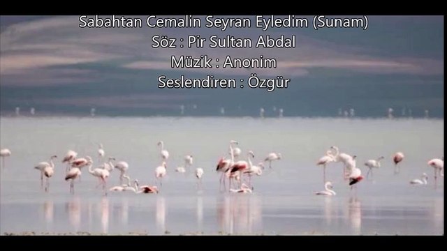 Sabahtan Cemalin Seyran Eyledim