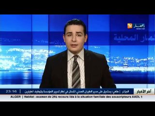 النعامة  تربية الدواجن..مجال ناجح ينتظر الدعم بالجنوب..!!