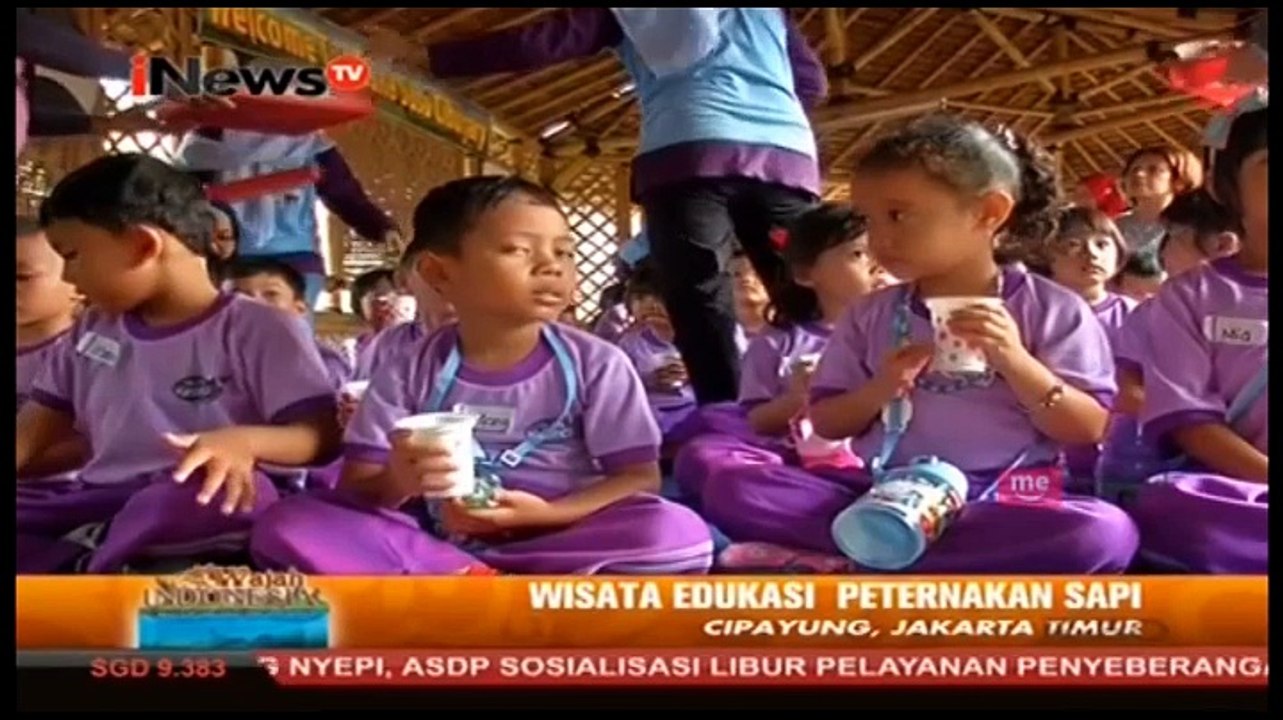 Wisata Edukasi Peternakan Sapi