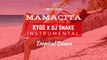 ✪Ⓑ✪ KYGO x DJ Snake Tropical Summer Type Beat Instrumental - Mamacita (Prod. BuzzBeats) ✪Ⓑ✪
