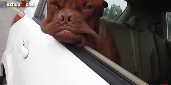 ice_video_20170216-091921