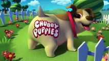 Spin Master - Chubby Puppies - Single Pack Puppies - TV Toys