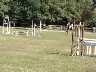 concours a lermitage (julie sur internet)