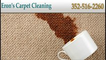 Best Carpet Cleaning Apopka FL and Rug Cleaning Service Apopka FL