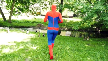 Spiderman & Pink Spidergirl VS Spiderbabys Poo! Farts & Potty Training! Superheroes in Re