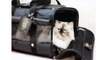 Shop Online Sherpa Cat Carriers : Precious Pets Paradise