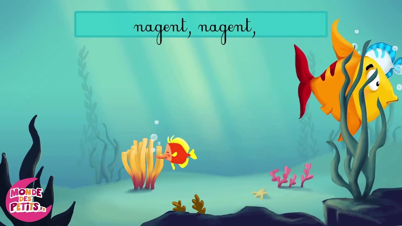 Les petits poissons dans l'eau