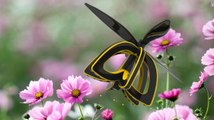 Arıların Yerini Robotlar Alıyor! Çiçekleri Dölleyen İlk 'Arı Drone' Üretildi