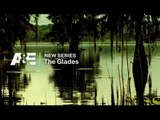 The Glades - Promo Saison 4