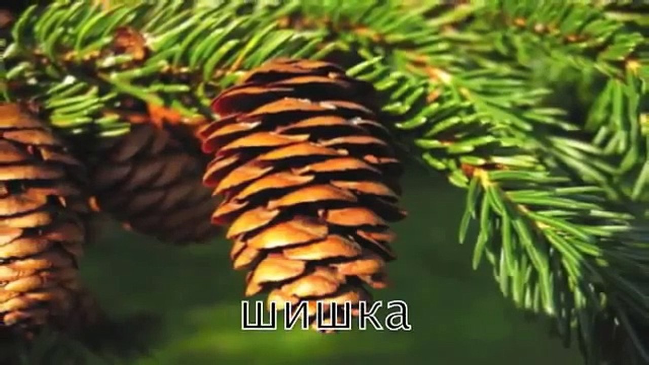 100 palabras para niños de 1 a 3 años! Desarrollan las películas de dibujos animados para los niños