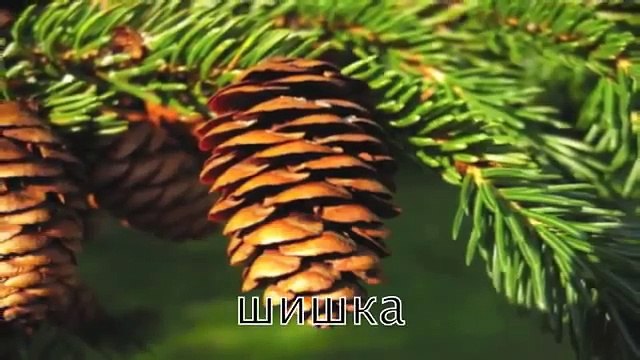 100 palabras para niños de 1 a 3 años! Desarrollan las películas de dibujos animados para los niños