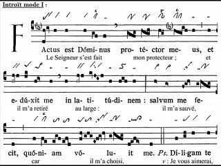 Introitus Factus est Dominus, Dominica VIII TpA (8 TO)