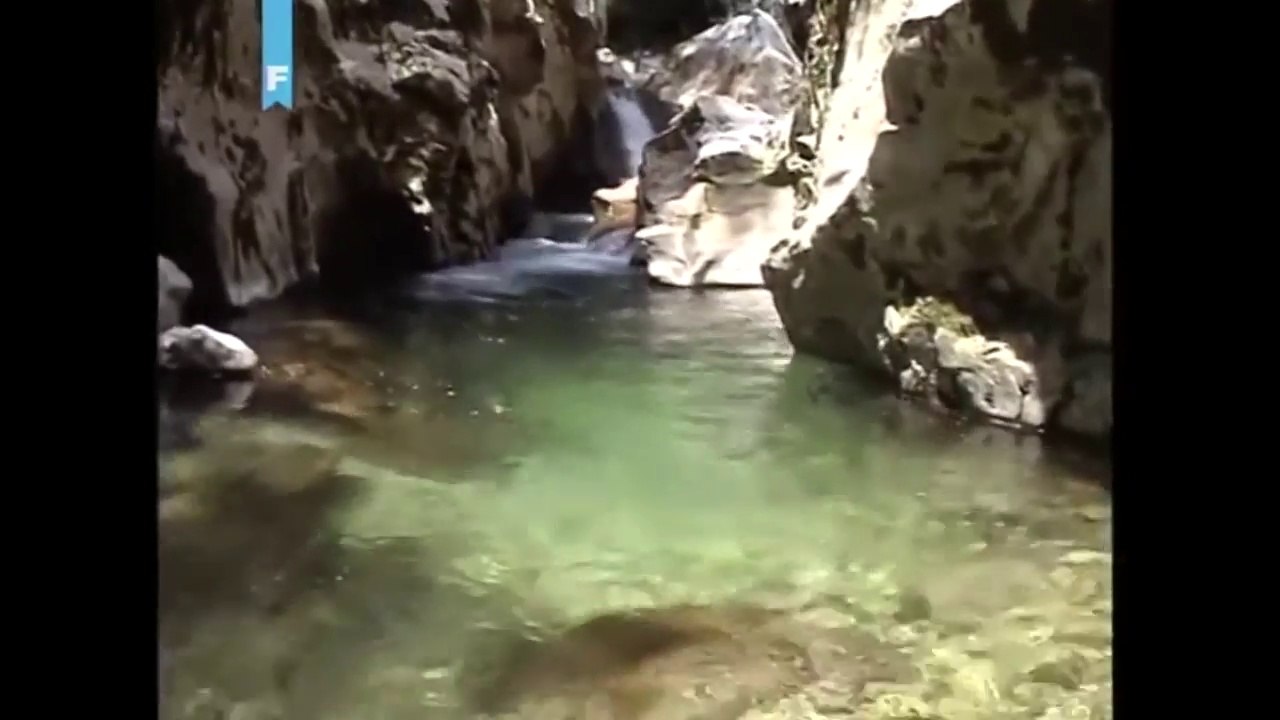 Rakitnica - ugrožena ljepotica