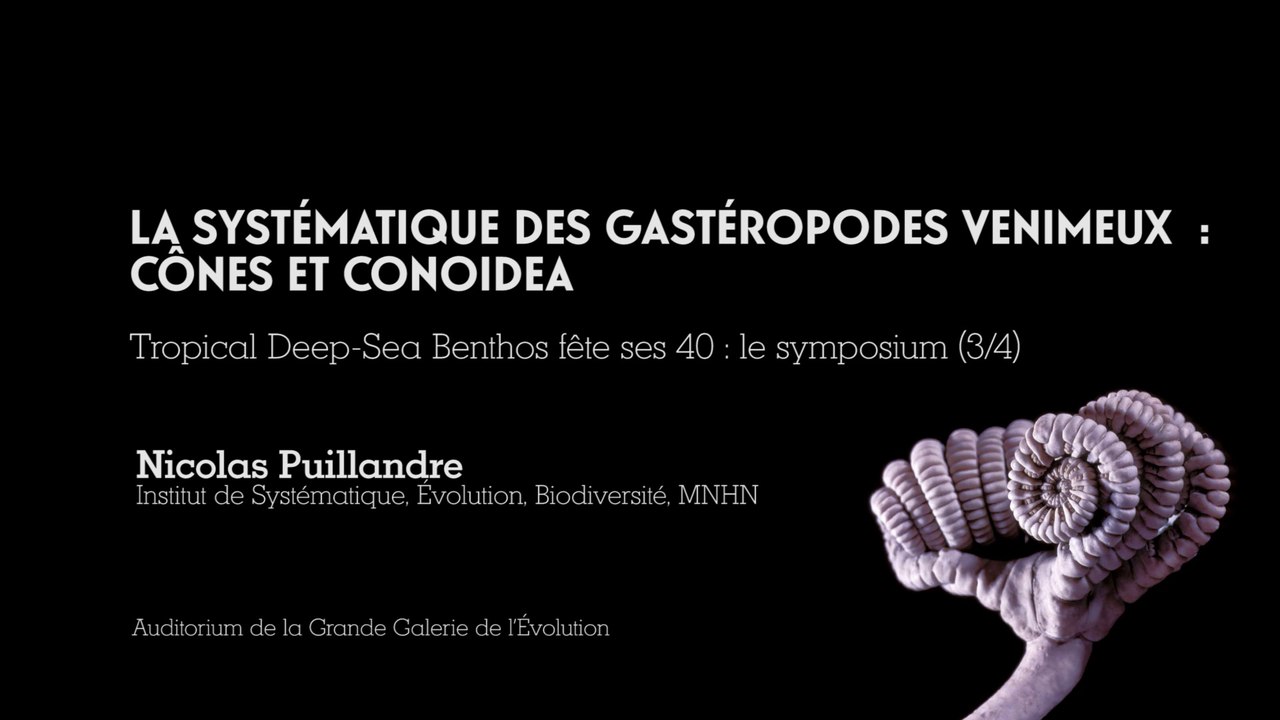 La systématique des gastéropodes venimeux (cycle Exploration des faunes marines profondes 3/4)
