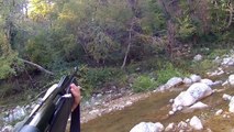 Vidéo chasse au sanglier, tir 1 sanglier en Italie