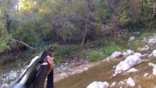 Vidéo chasse au sanglier, tir 1 sanglier en Italie