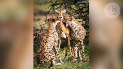 "Ma photo est devenue virale accompagnée d'une histoire complètement fausse et ridicule " L'insoutenable vérité que cache ce cliché enfin dévoilé !