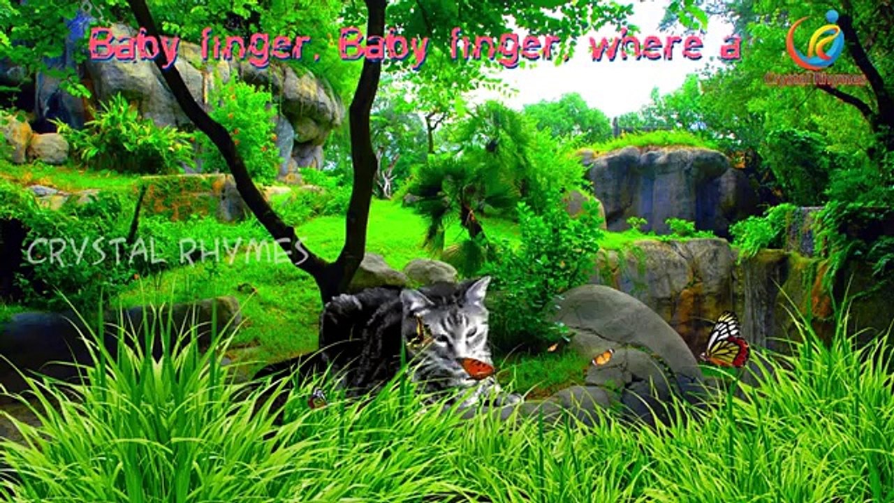 Cat Finger Family 3d Animated Nursery Children English Rhymes
