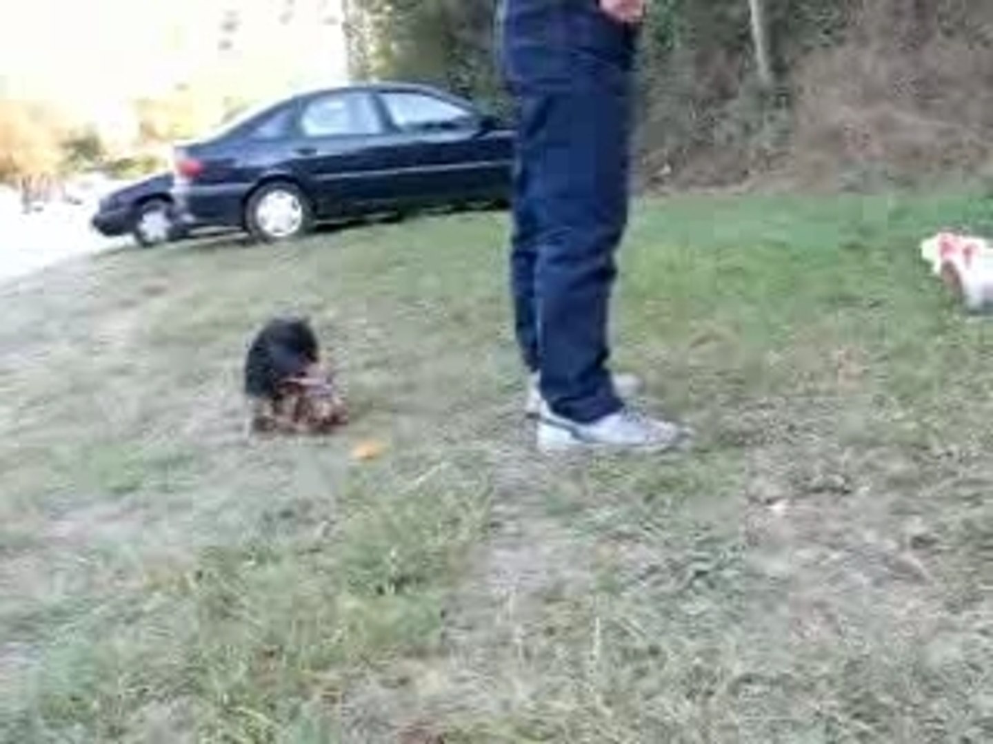 Randonnée Pommiers