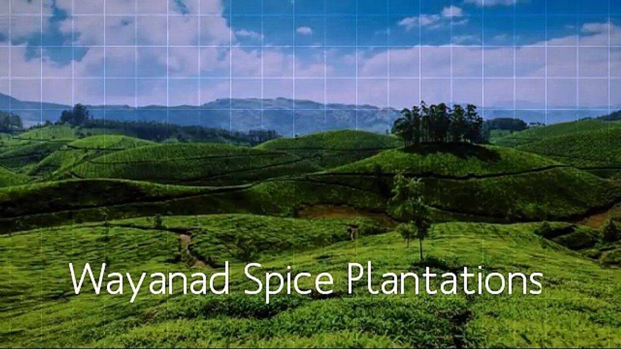 MyStupeflixVideo-360p