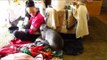 This Wombat Is Cute, but Not Very Helpful With Folding Laundry