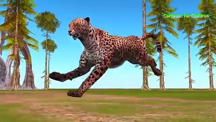 Cheetah Vs Warthog Amazing Fight | Cheetah Attacks Warthog Videos For Children