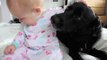 Puppies and Babies 2017 funny dog and babies cute dogs and adorale baies