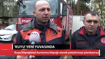 'Kuyu' yeni yuvasında