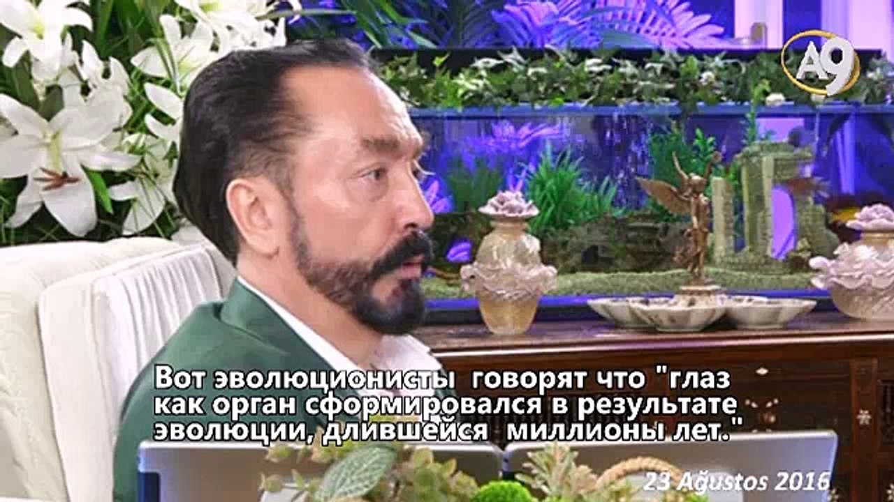 500 миллионов лет назад на земле существовали н...