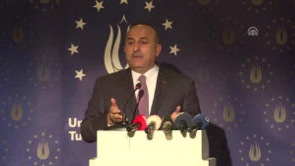Dışişleri Bakanı Çavuşoğlu Almanya'da (6)
