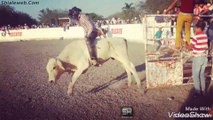 JARIPEO RANCHERO EN PUEBLA MEXICO VALIENTES JINETES VS TOROS SALVAJES GANADERIA